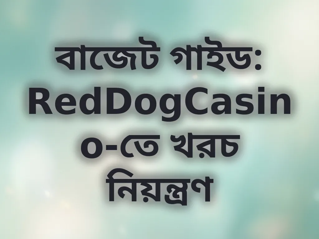 বাজেট গাইড